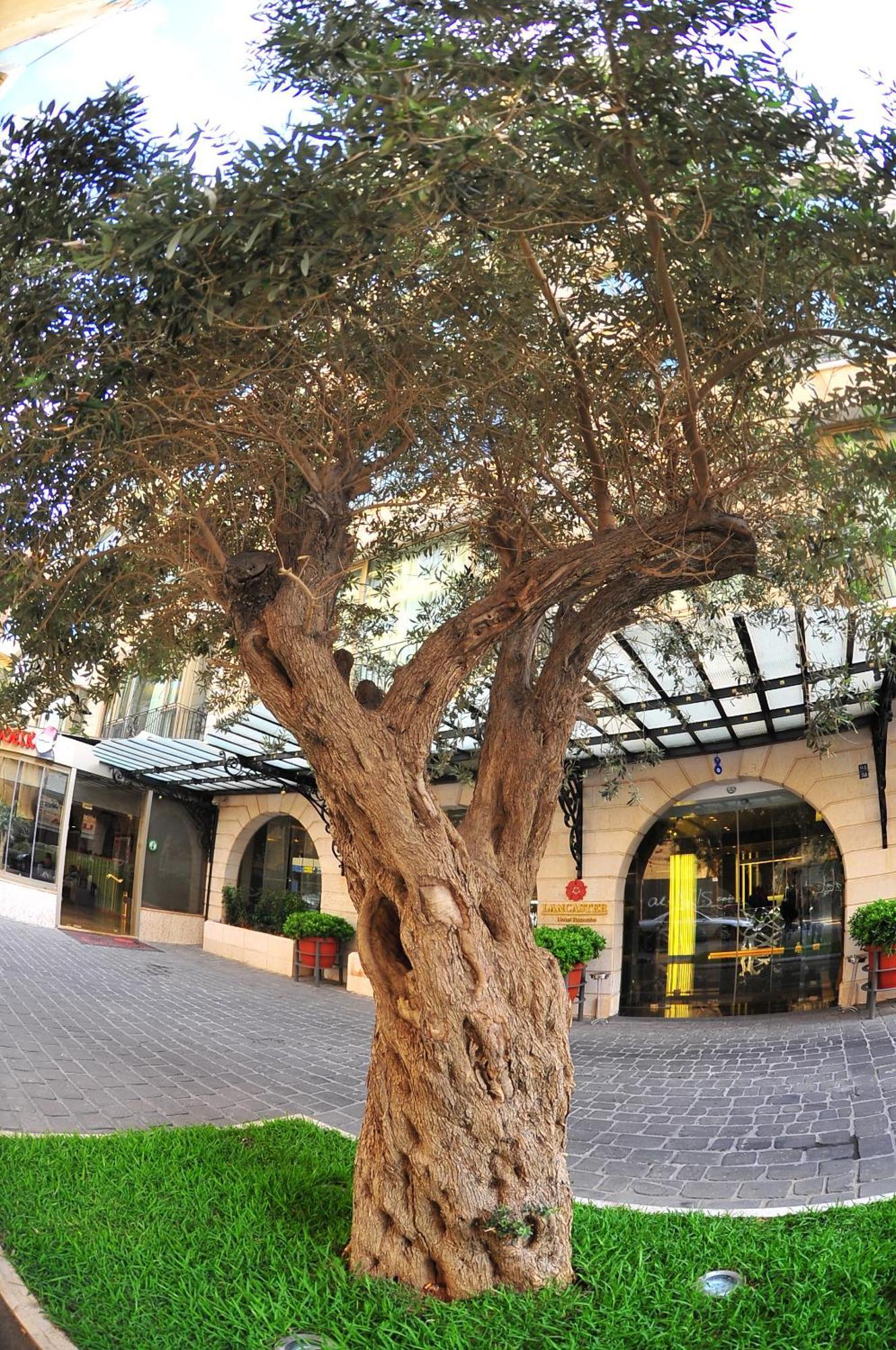 Lancaster Raouche Hotel Beirut Exteriör bild